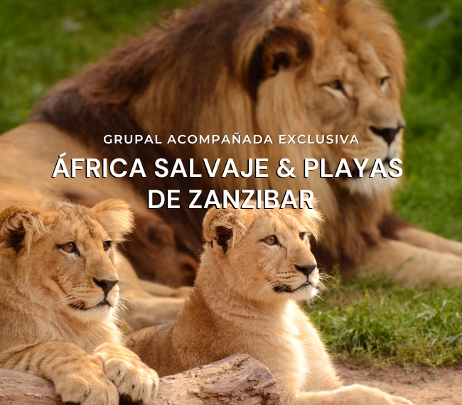 FRICA SALVAJE & PLAYAS DE ZANZIBAR - 19 JULIO 2025 - GRUPAL EXCLUSIVA ACOMPAADA